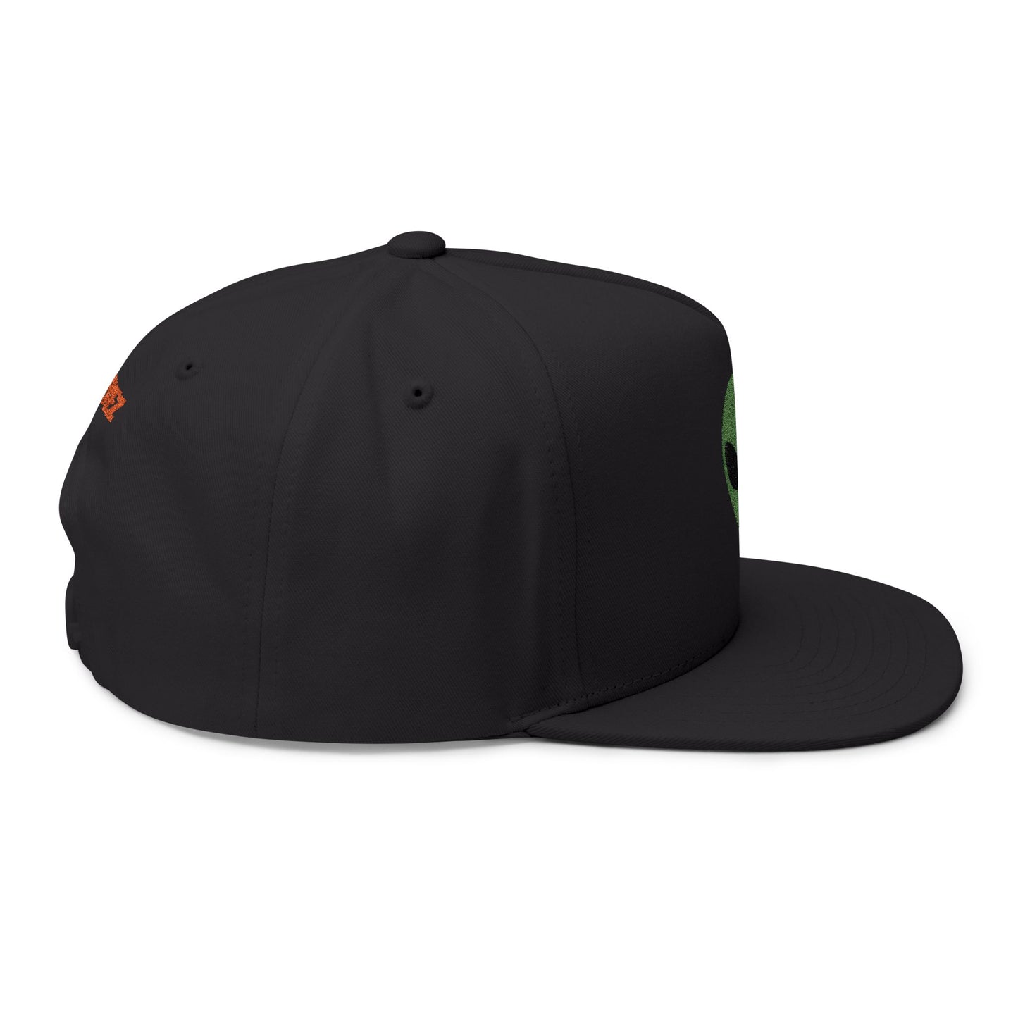 Alien Head Embroidered - UFO Snapback